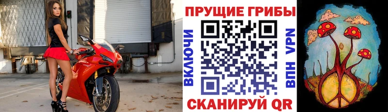 где найти   Дюртюли  Галлюциногенные грибы мухоморы 